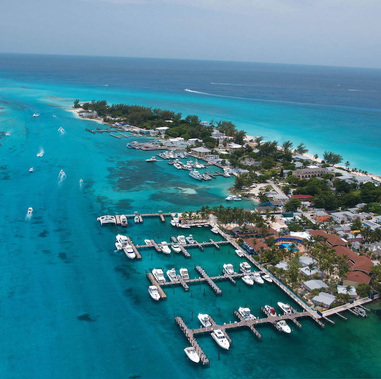 big game club marina bimini bahamas