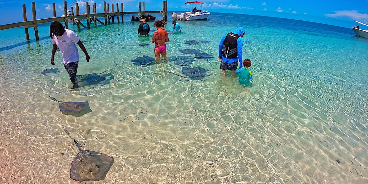 honeymoon harbour at stingray beach bimini attractions