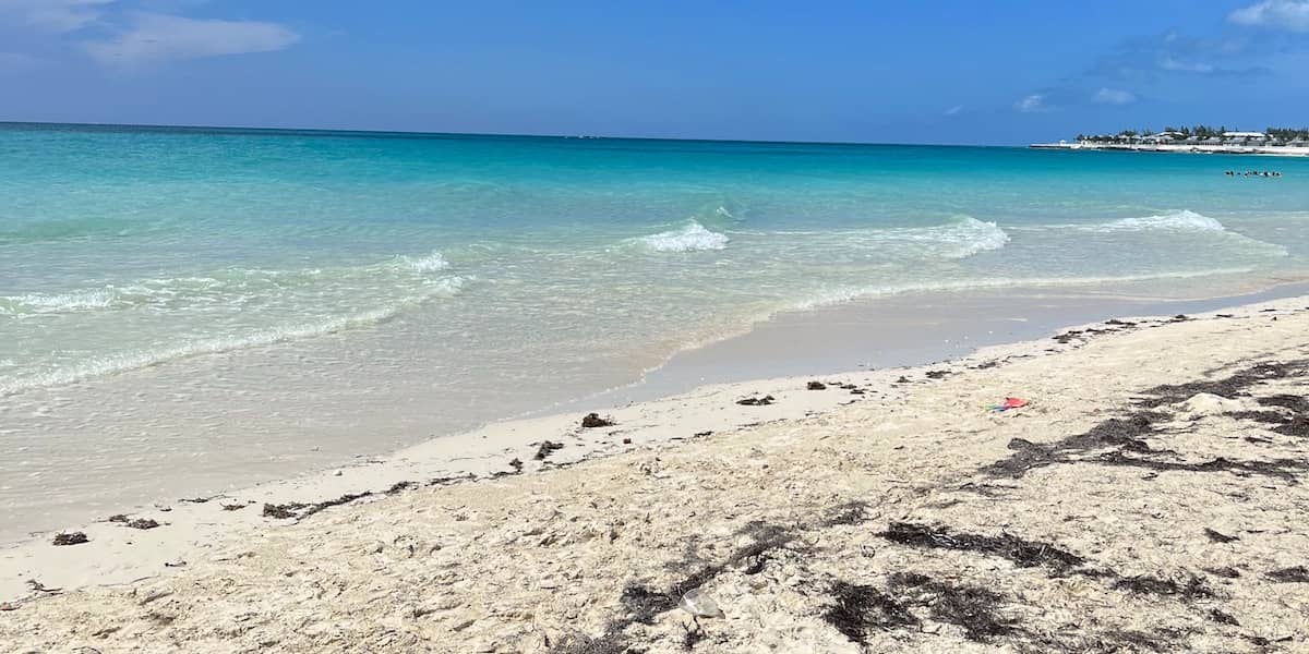 paradise beach bimini the bahamas